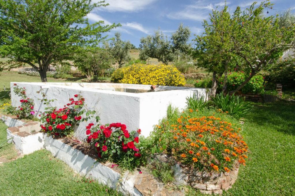 Monte Da Boa Vista - Descanso Perfeito Hotell Portel Exteriör bild