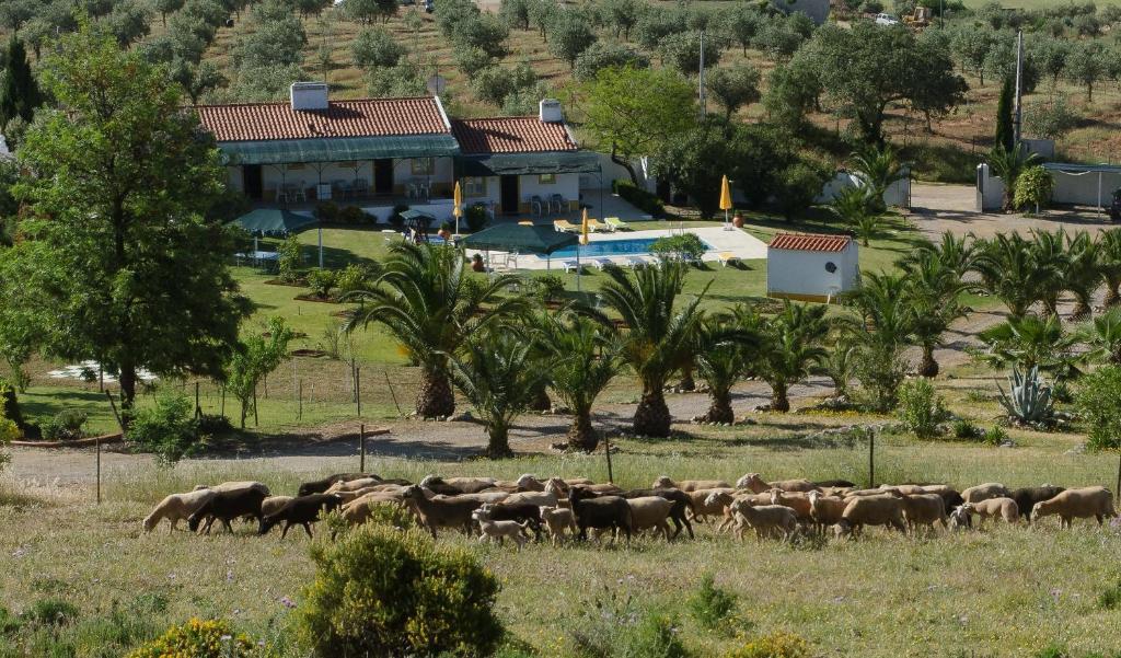 Monte Da Boa Vista - Descanso Perfeito Hotell Portel Exteriör bild